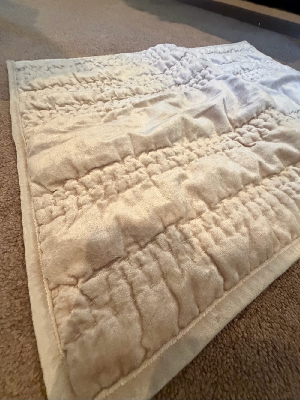 Anthropologie lustered velvet Alastair pillow cover sham cream pearl beige - Picture 6 of 10